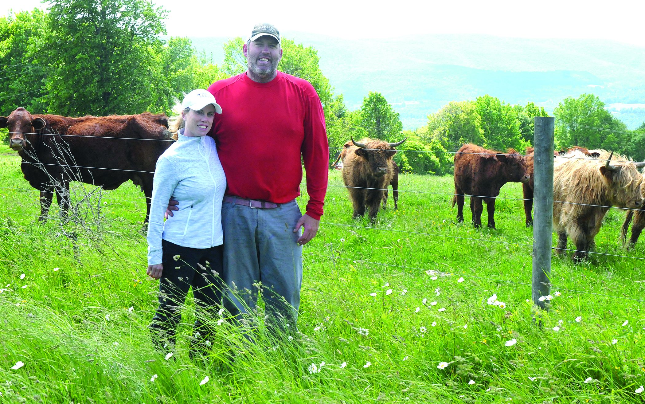 Highland Hollow: From farm to chef to table