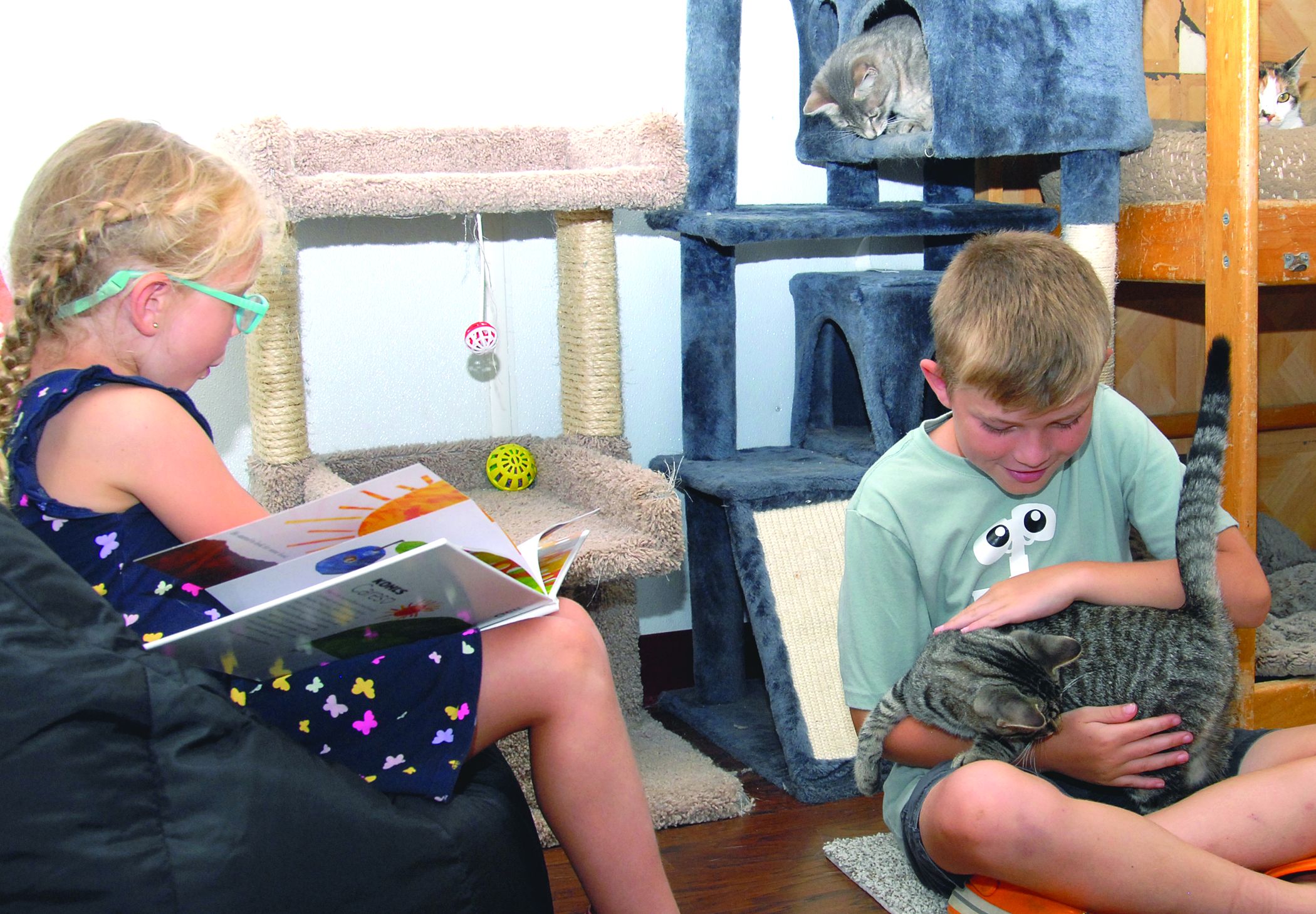 Shelter cats get own Book Buddies