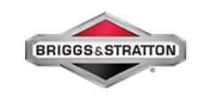 Briggs and Stratton