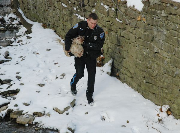 Cops save dog from icy plunge