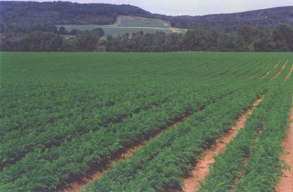 Farming photos a winner with Chamber