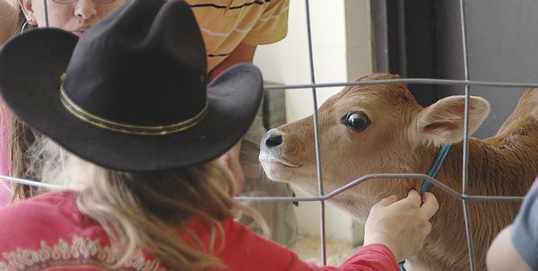 Sharon FFA shares love of farming