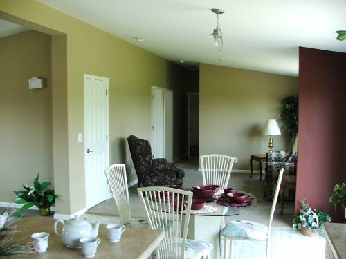 View From Kitchen