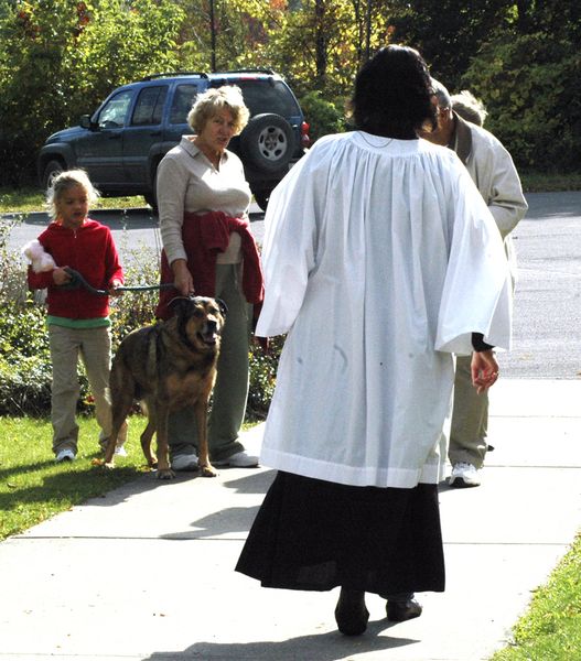 Church blesses the beasts