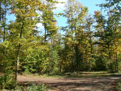 Tug Hill NY Waterfront land for sale in New York Tug Hill NY Waterfront land for sale in New York