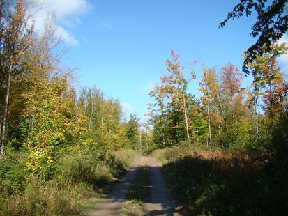 Tug Hill NY Hunting Land land for sale in New York Tug Hill NY Hunting Land land for sale in New York