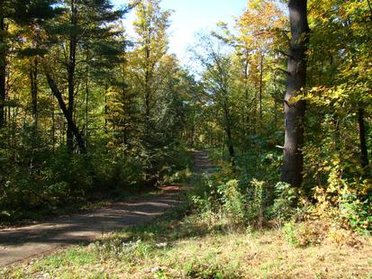 Tug Hill/Lake Ontario land for sale in New York Tug Hill/Lake Ontario land for sale in New York