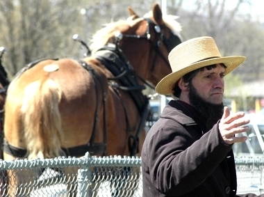 An Amish eye for the horses
