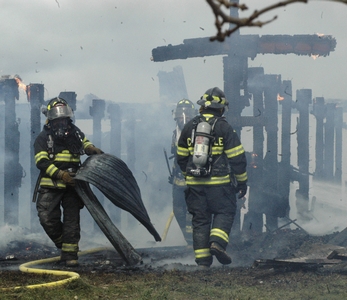 Horses saved from Sharon fire