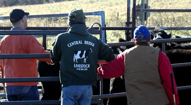 Auction another way for farmer to give back