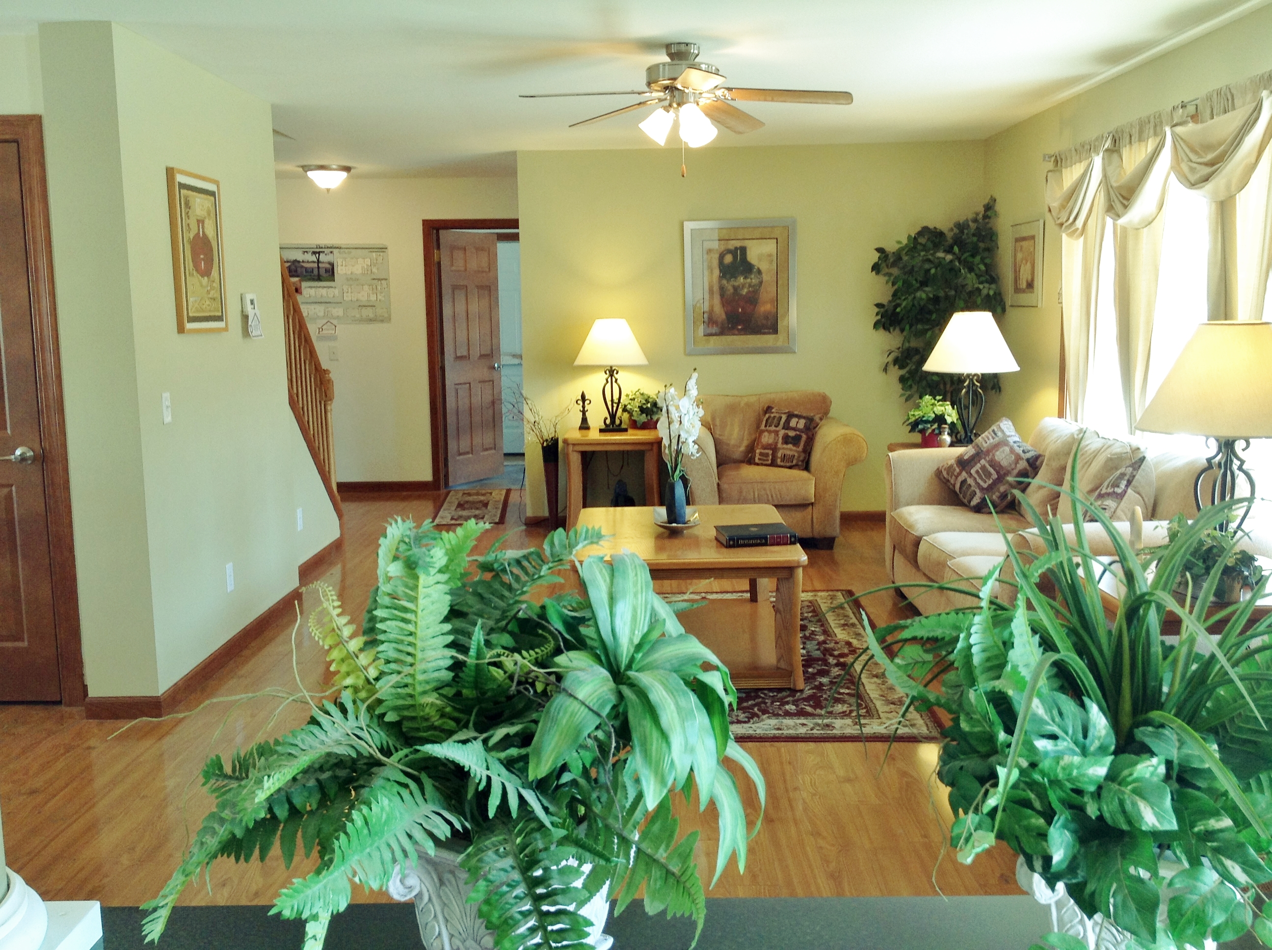 WOW! from the foyer to living room.