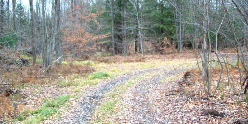 These 9 acre lots are located in Camden on a maintained road. These are all buildable for a house or cabin and have great hunting. This is in the northern hunting zone for a long season, and is close to both Oneida Lake and the Salmon River for great fishing and water sports. The terrain is gently rolling and fully wooded with great diversity. <br>