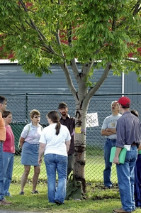 DEC warns of emerald ash borer threat$