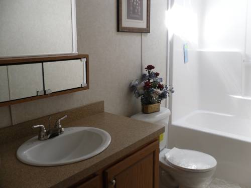 Guest Bath