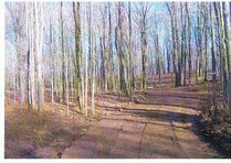 Nice recreational property, hunting, fishing, near salmon river and several trout streams in the area also snowmobiling.  Electric available for your cabin or home on this 3+ acre parcel.