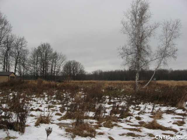 Very nice level parcel open meadow in front wooded in back. Would make great home site or could use for recreational use. The back of the property borders snowmobile trail for recreational use. just minutes to Oneida lake for fishing, boating etc. Has nice 12X15 shed with concrete floor and garage door for storage.Has electric hook up, well and septic in place.