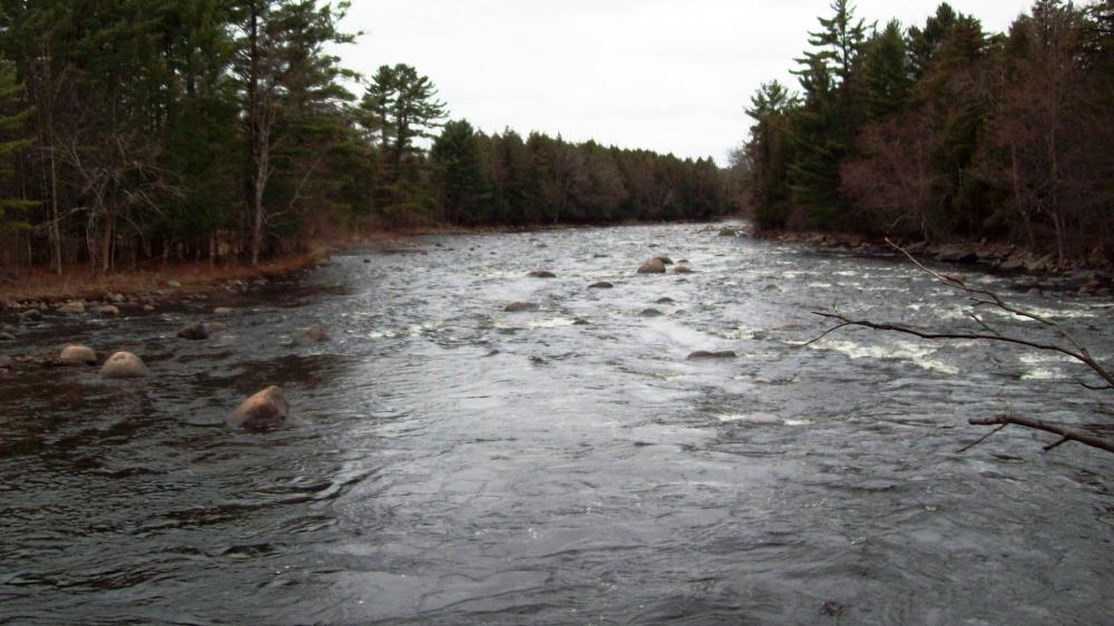 This is a great building lot with 1,000 feet of prime river frontage on the black river!  There is also 830 feet of road frontage on the Walker Rd in Boonville.  The lot is fully wooded with the exception of a nice building site.  This is a perfect place to build your new home or your vacation cabin.  There is already electricity, a well, and a septic on site that is ready to be hooked into.  The lot also has a tenant on one side of the lot that pays monthly lot rent.  The snowmobile trail is only a few hundred feet from the property too, so direct access is a breeze.  As for the river frontage, this is a fly fisherman�s dream.  It is deep enough to swim but yet there is some nice current in places.  This also serves for great kayaking and canoeing.  The lot can also be sub-divided so it is great for the investor.  This will not last long so contact us today!