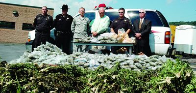 Biggest pot bust in memory in Summit