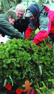 Few leads in trashing of Cobleskill trees