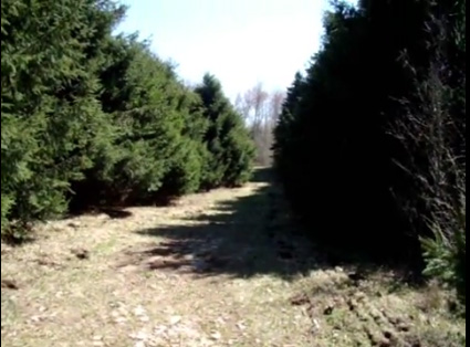 Adirondacks land for sale in New York Adirondacks land for sale in New York