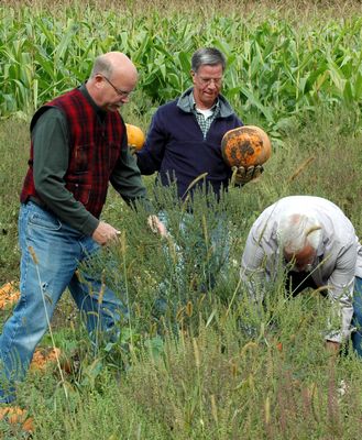 Pumpkin fundraiser brings Lions, ARC together