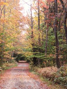 Adirondack Park land for sale in New York Adirondack Park land for sale in New York