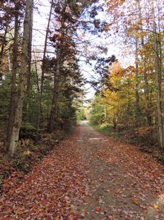 Adirondack Park land for sale in New York Adirondack Park land for sale in New York