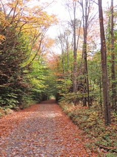 Adirondack Park land for sale in New York Adirondack Park land for sale in New York