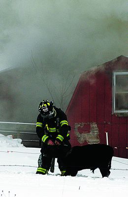 Cows rescued from Sunday barn fire