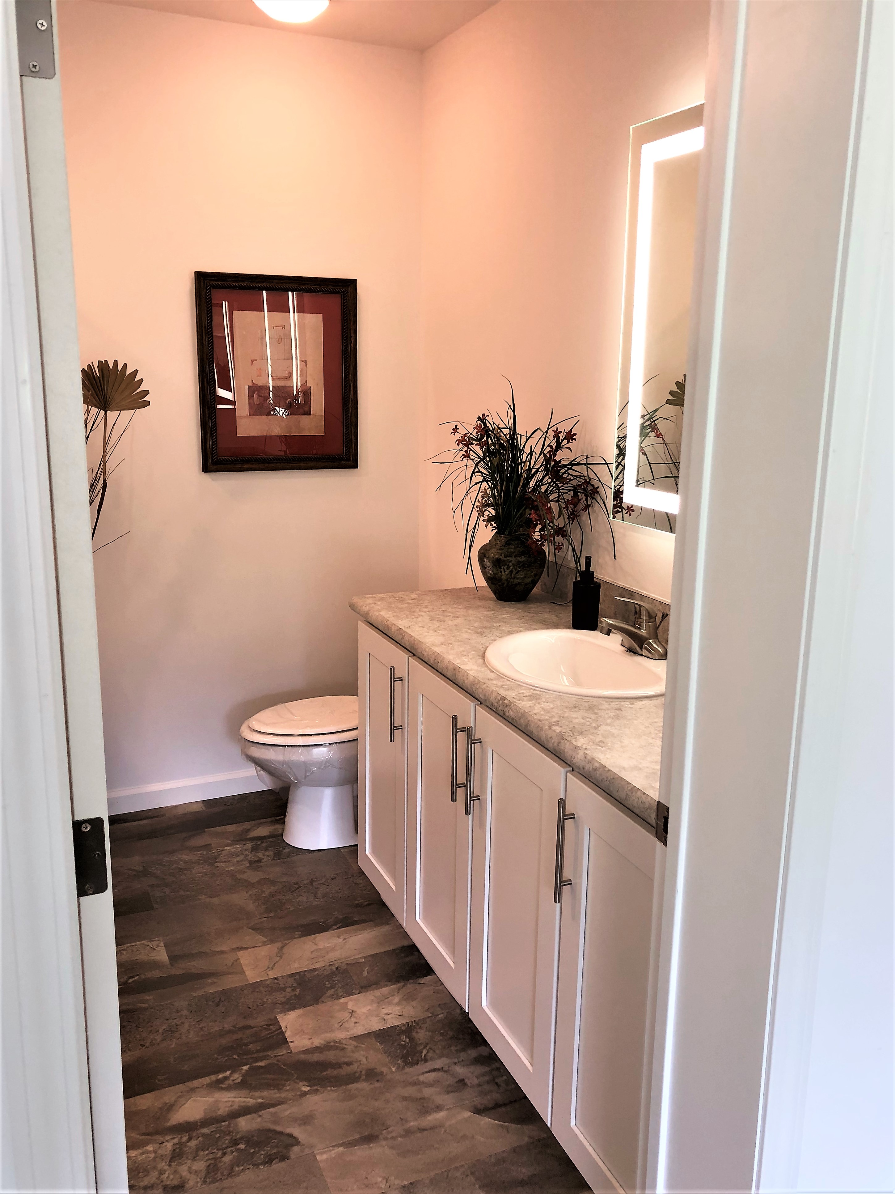 Master Bathroom Vanity