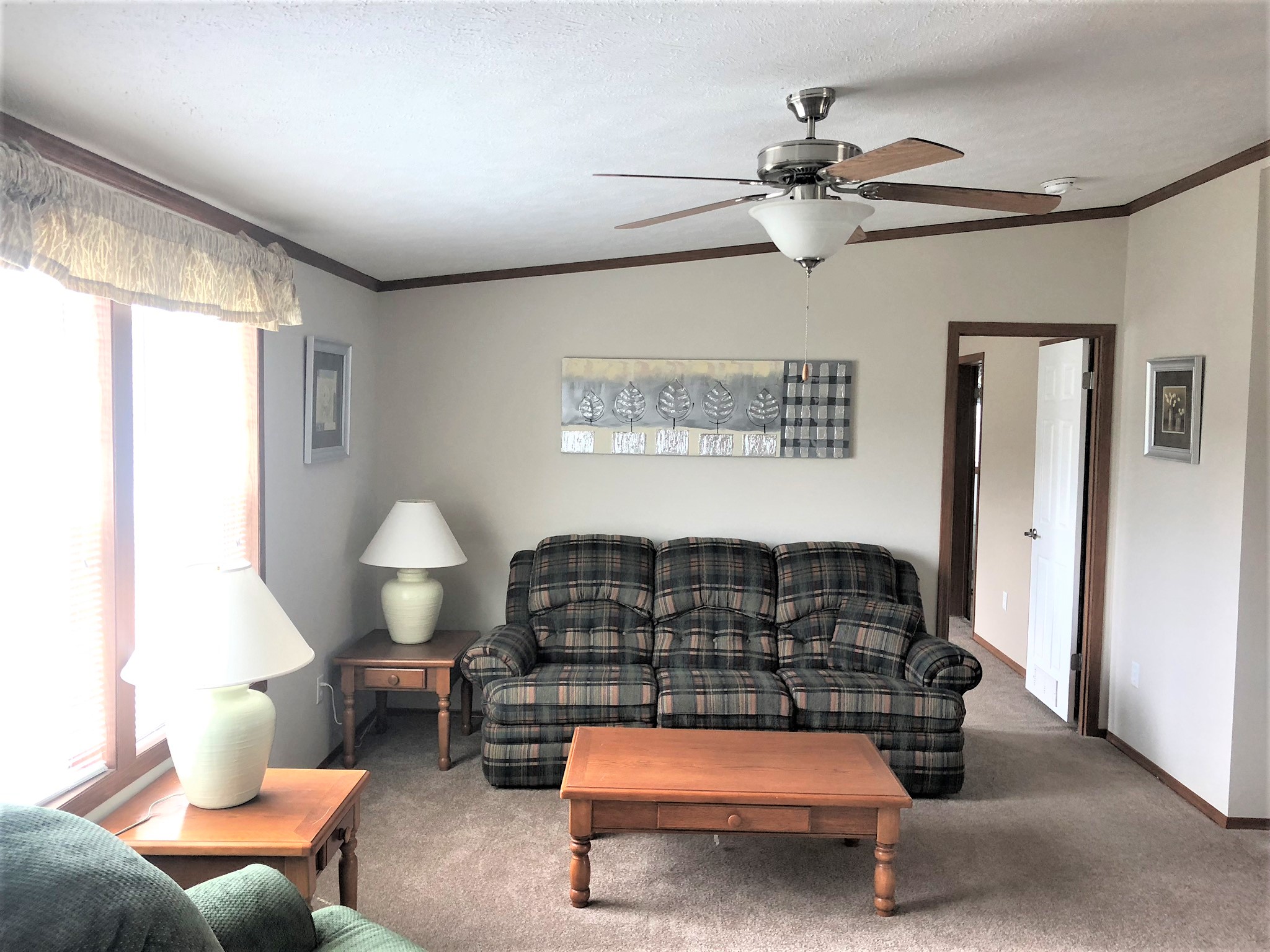 The View From The Front Door Into Living room