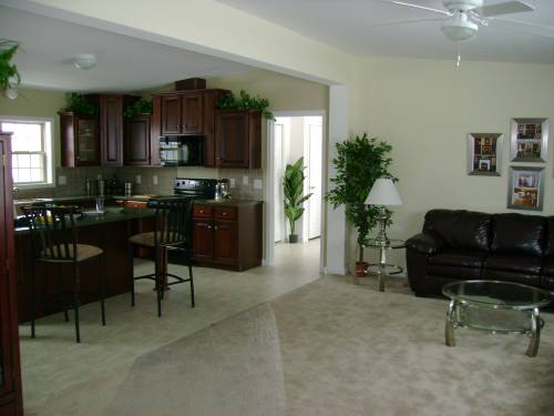 Kitchen and Living Room