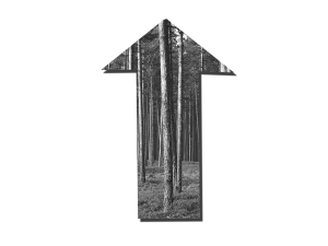 Get Moving Lumber & Housing Costs Are on the Rise!